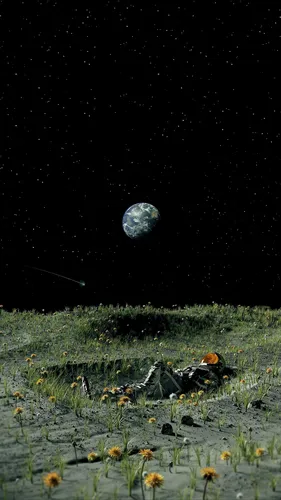 Космонавт Обои на телефон поле цветов с луной на заднем плане