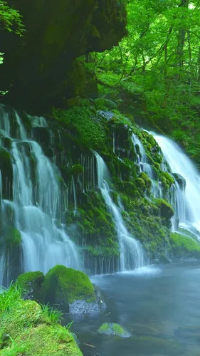 Красивые Природа Обои на телефон водопад в лесу