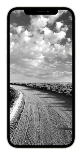 Крутые Черно Белые Обои на телефон дорога с полем и деревьями на обочине