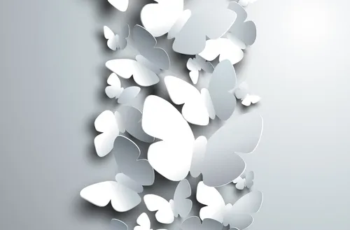 Белого Цвета Обои на телефон белый цветок на черном фоне