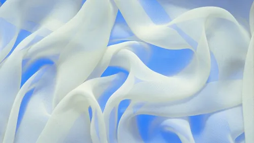 Белого Цвета Обои на телефон крупным планом бело-голубое перо