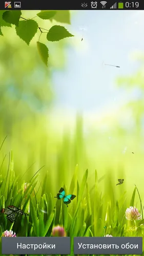 Весна Бесплатно Обои на телефон группа бабочек на растении