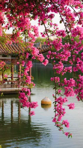 Весна Бесплатно Обои на телефон дерево с розовыми цветами рядом с водоемом