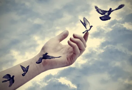 Голуби Обои на телефон рука протягивает руку летящим птицам