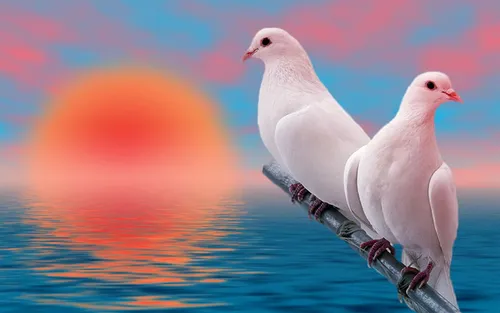 Голуби Обои на телефон две белые птицы на металлическом стержне