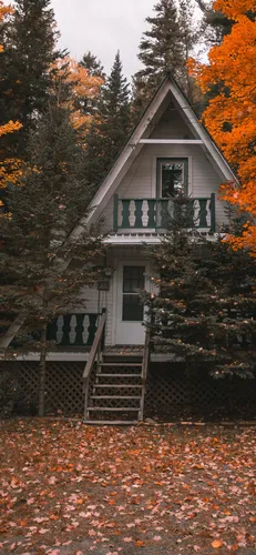 Дома Обои на телефон небольшой домик с деревьями вокруг него