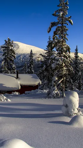 Зима Горы Обои на телефон снежный пейзаж с деревьями и зданием