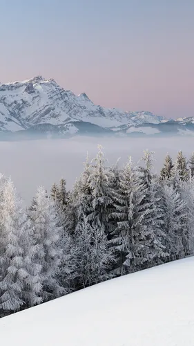 Зима Горы Обои на телефон снежный пейзаж с деревьями и горами
