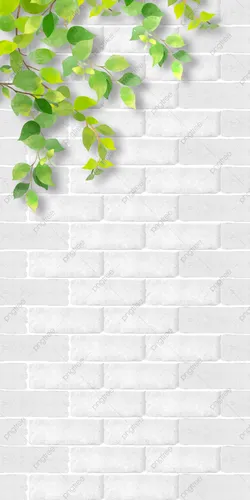 Кирпичная Стена Обои на телефон ветка дерева на стене из белого кирпича