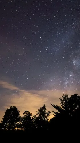Не Яркие Обои на телефон звездное ночное небо с деревьями