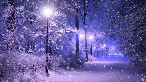 Погода Обои на телефон снежная дорога с деревьями по обе стороны