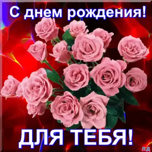 С Днем Рождения Картинки букет розовых роз