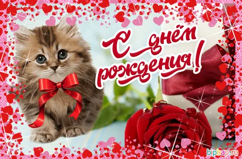 С Днем Рождения Картинки котенок в красном галстуке-бабочке
