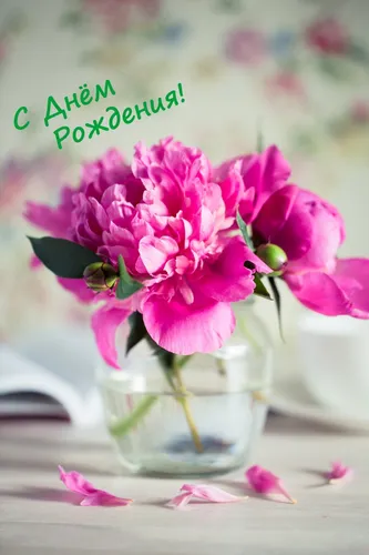 С Днем Рождения Картинки ваза с розовыми цветами