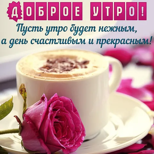 Доброе Утро Картинки чашка кофе с розой