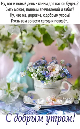 С Добрым Утром Картинки чайная чашка с блюдцем с цветами на столе