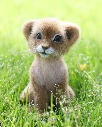 Милые Картинки маленькое животное в траве