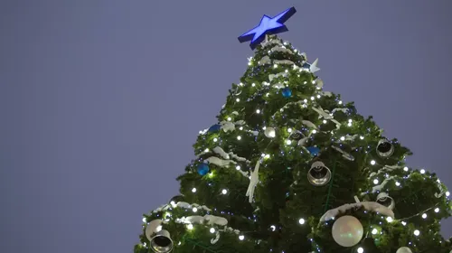 дерево с голубой звездой на вершине