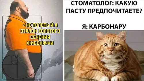 Прикольные Картинки кошка, сидящая на диване