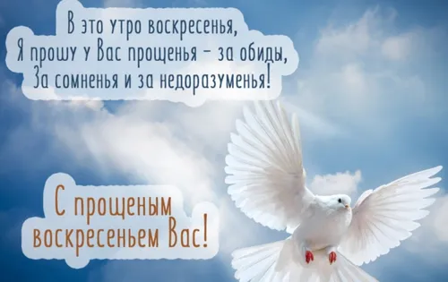 Прощеное Воскресенье Картинки белая птица с крыльями