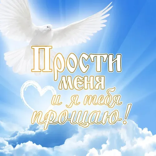 Прощеное Воскресенье Картинки белая птица с голубым небом и облаками