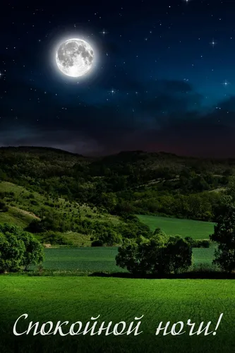 Спокойной Ночи Картинки пейзаж с деревьями и луной в небе