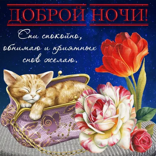 Спокойной Ночи Картинки кошка, лежащая на кровати с цветами