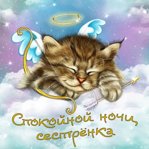 Спокойной Ночи Картинки кот с гирляндой