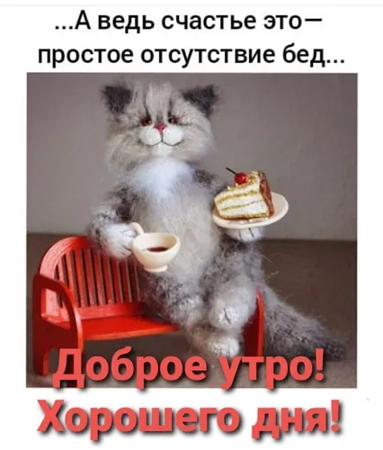 Ржачный Смешные Доброго Утра Картинки кошка, держащая чашку кофе