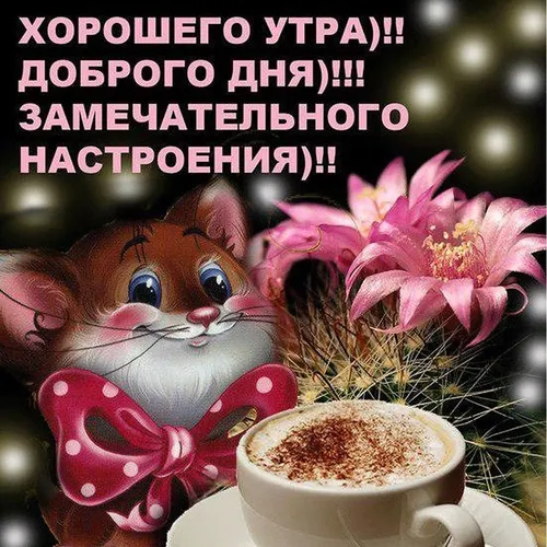Ржачный Смешные Доброго Утра Картинки кошка с чашкой кофе и цветком