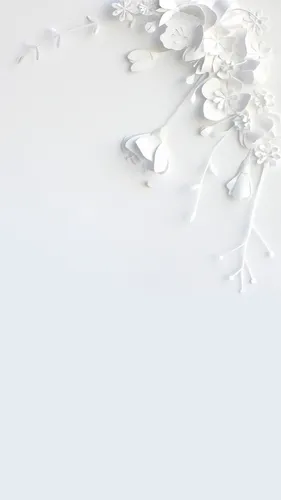 Белые Обои на телефон белый цветочный дизайн