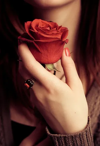 Красивые На Аву Картинки женщина, держащая розу