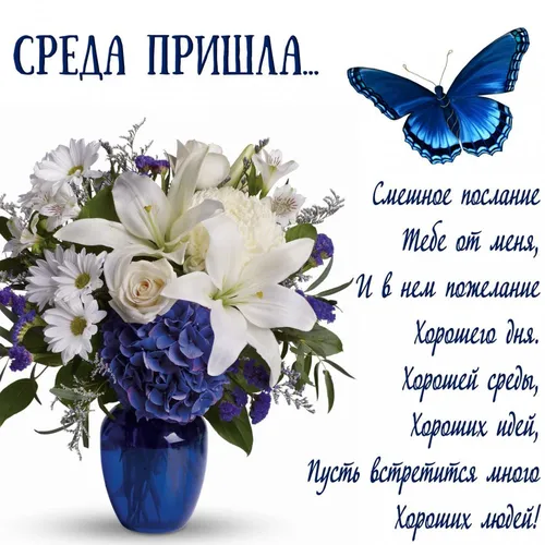 Хорошего Дня Картинки голубая бабочка на белом цветке