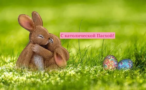 С Пасхой Картинки кролик в траве