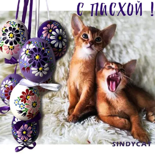 С Пасхой Картинки кошка с ложкой во рту рядом с кошкой с повязкой на голову с цветком