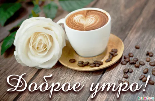 Доброе Утро Красивые Интересные Новые Картинки чашка кофе и роза