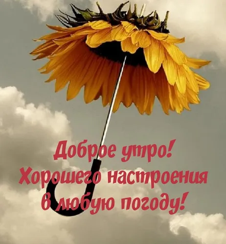 Доброе Утро Красивые Интересные Новые Картинки желтый цветок с белым текстом