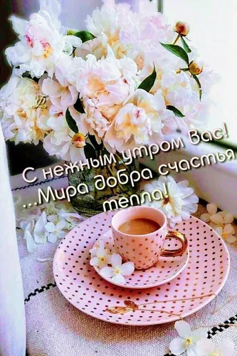 Доброе Утро Красивые Интересные Новые Картинки чашка кофе на блюдце с цветами на заднем плане