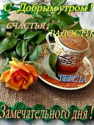 Доброе Утро Красивые Интересные Новые Картинки чашка кофе и цветок на тарелке