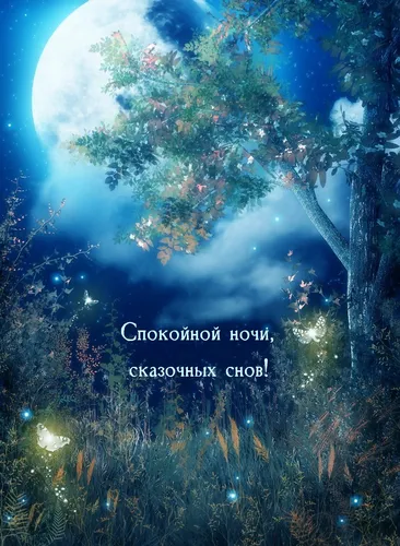 Доброй Ночи Картинки лес с деревьями и луной