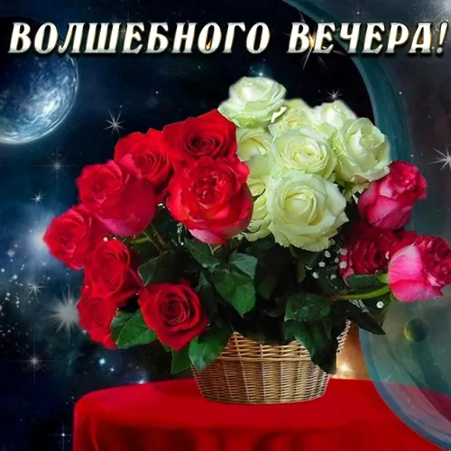 Добрый Вечер Картинки букет роз