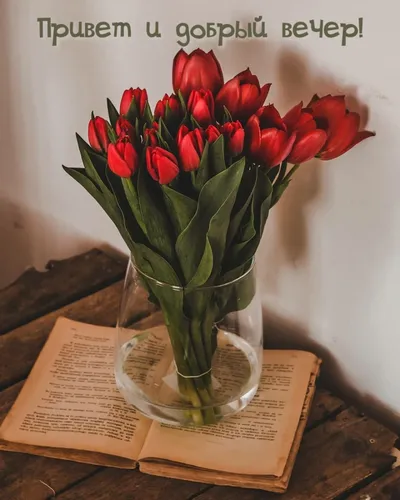 Добрый Вечер Картинки ваза с красными тюльпанами
