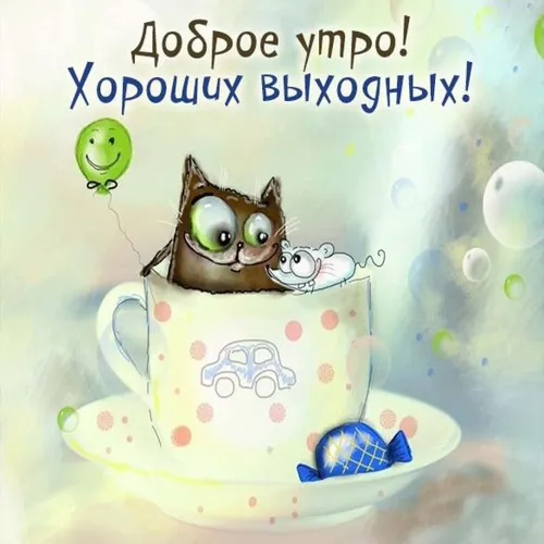 Очень Смешные С Добрым Утром Картинки чайная чашка с кошкой сверху