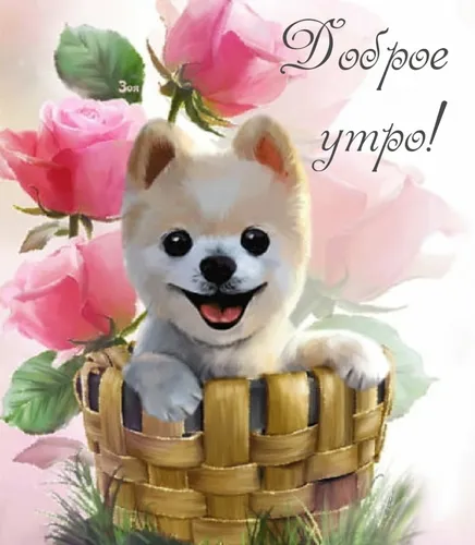 Очень Смешные С Добрым Утром Картинки собака в корзине с розовыми цветами