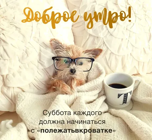 Очень Смешные С Добрым Утром Картинки собака в очках и с чашкой кофе