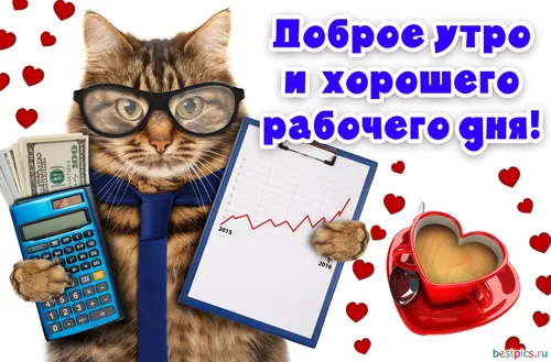 Очень Смешные С Добрым Утром Картинки кошка в галстуке-бабочке с книгой