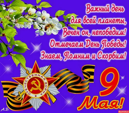 9 Мая Картинки в высоком качестве