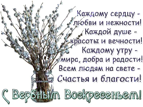 дерево с вазой, полной цветов