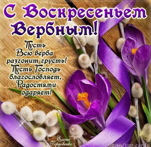 Вербное Воскресенье Картинки группа фиолетовых цветов
