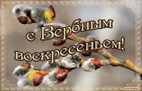 Вербное Воскресенье Картинки книга с изображением птицы и ветки